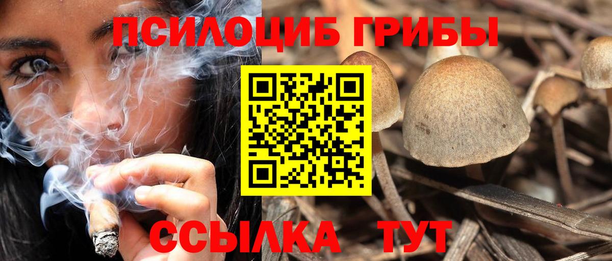 Псилоцибиновые грибы Psilocybe  купить наркоту  Вход с VPN  Нефтеюганск  Галлюциногенные грибы Psilocybe 